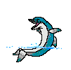 dolphin.gif (17449 bytes)